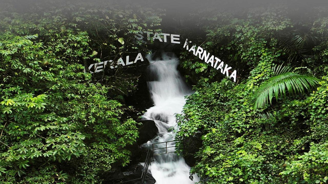 Holistic Stay Eco-Resort & Ayurvedic Retreat Paithalmala Exteriör bild