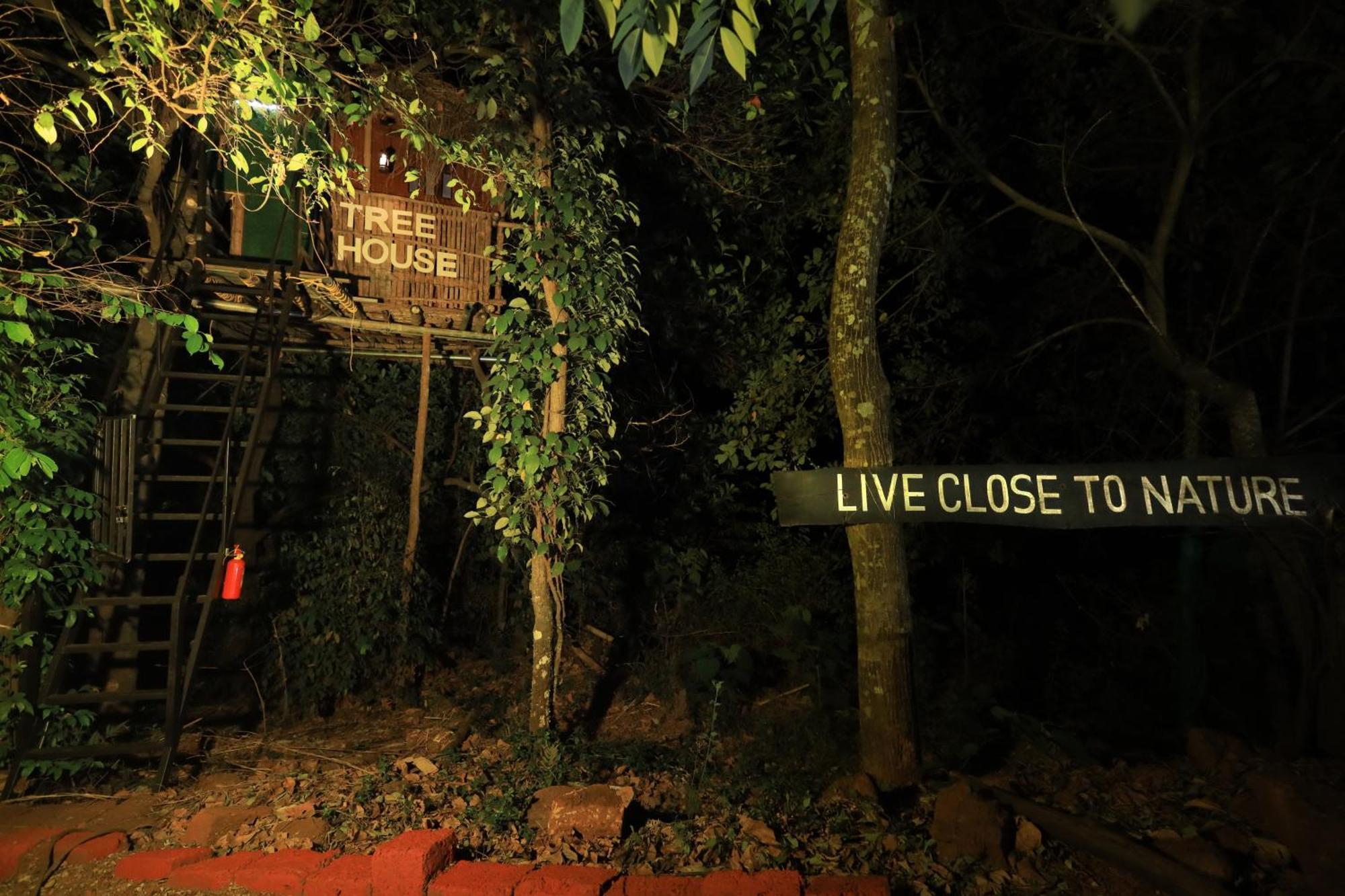 Holistic Stay Eco-Resort & Ayurvedic Retreat Paithalmala Exteriör bild